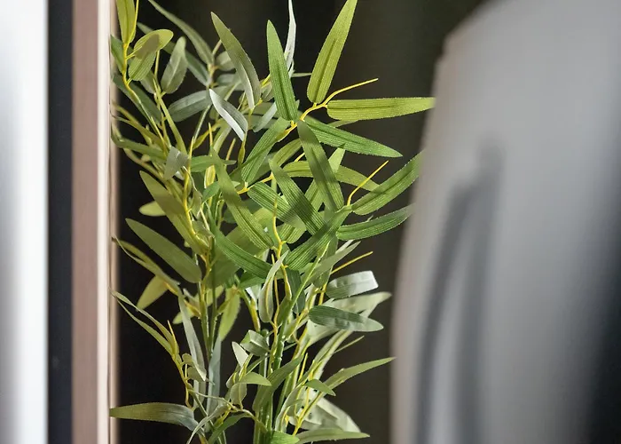 Lejlighed Wieniawskiego With Balcony Stacja Estate By Renters Łódź