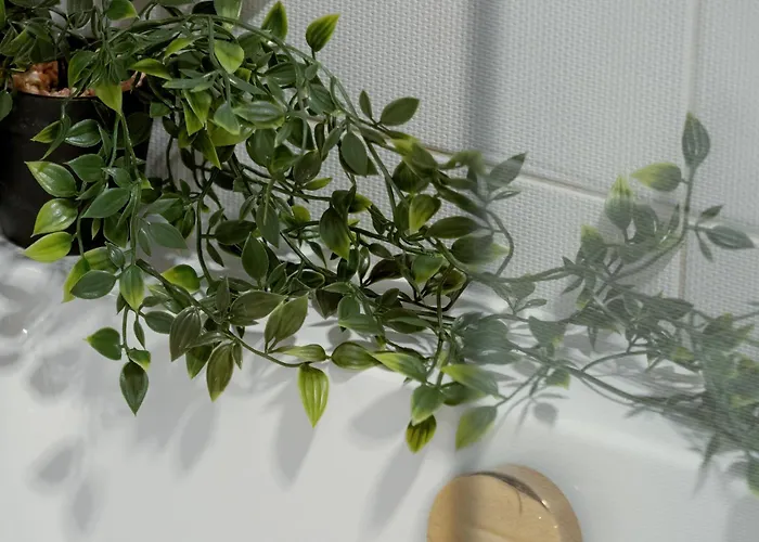 Wieniawskiego With Balcony Stacja Estate By Renters Lejlighed *